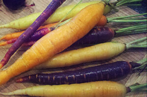 Carrots_400x265